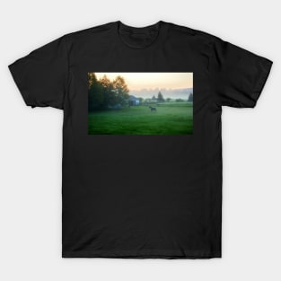 Horse On A Misty Morning T-Shirt